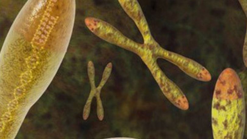 Depression 'makes us biologically older'