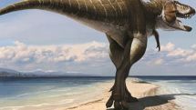 Predatory 'king of gore' dinosaur discovered