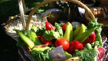Today is World Vegan Day