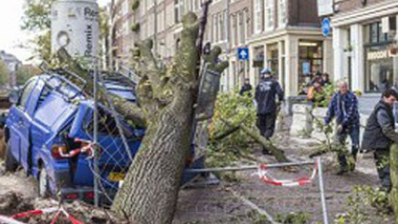 Storm lashes northern Europe leaving at least 13 dead
