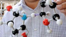 Internal clock that measures aging discovered in DNA