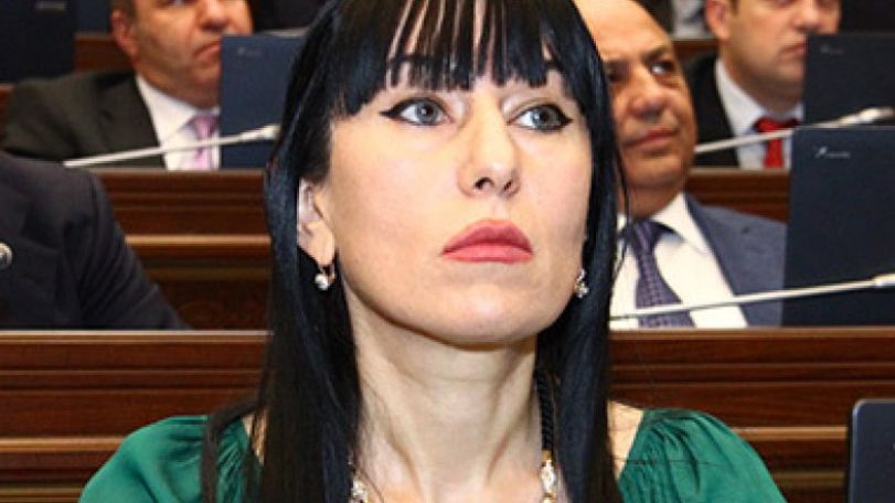 Несмотря на сопротивление со стороны представителей Азербайджана депутаты ПАСЕ приняли предложение армянского делегата