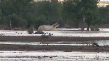 Oil spills, floods, airlifts in Colorado