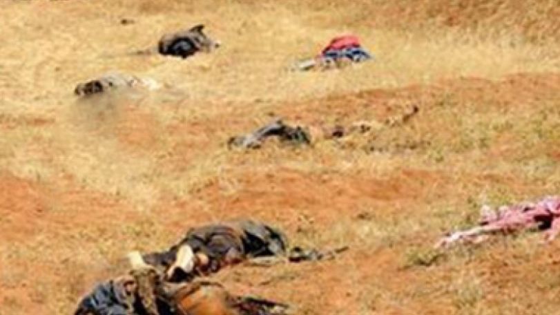 Only Syrian government, nation truly fighting ISIL – analyst