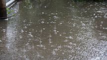 Rains expected in most regions