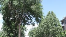Showers will stop; air temperature will go up