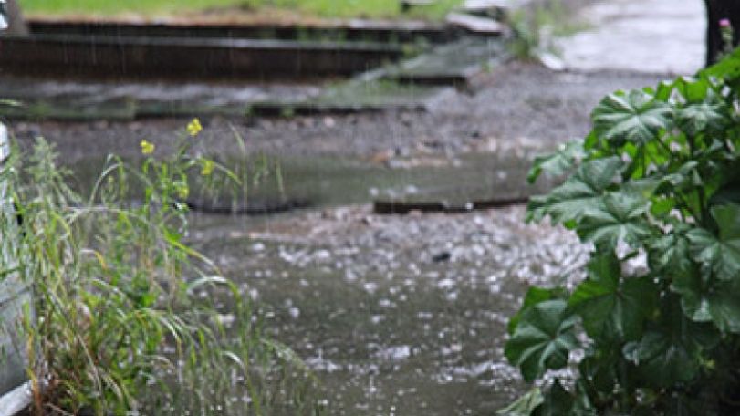 Rain and thunderstorm forecast for today