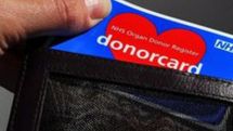 Organ transplants reach record high 