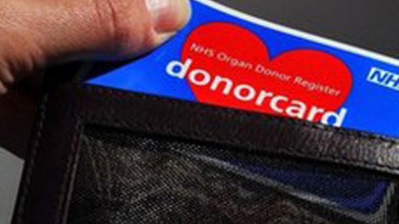 Organ transplants reach record high 