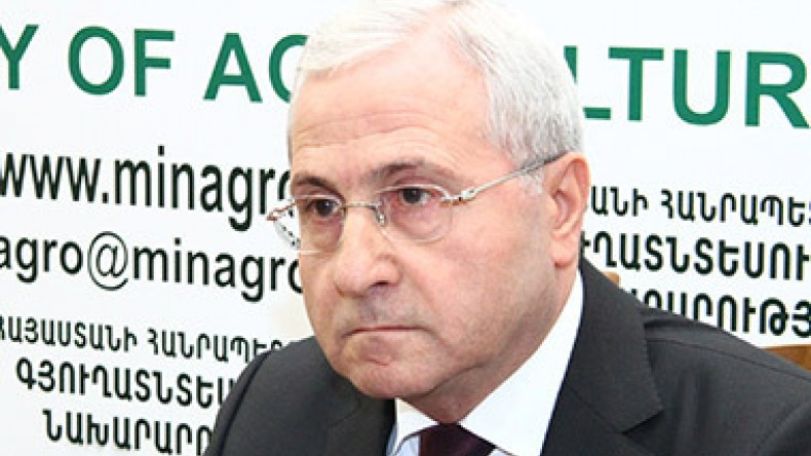 Այս տարի սպասվում է ցորենի աննախադեպ բերք. գյուղնախարար