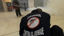 Власти Гондураса объявили чрезвычайное положение в стране из-за эпидемии денге