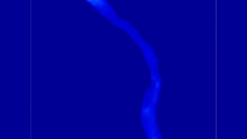 Scientists discover death can be SEEN spreading like a blue glowing wave through the body of a worm