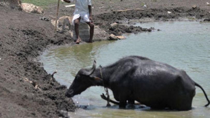 Heat wave death toll exceeds 700 in India
