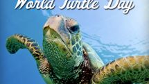 May 23 is World Turtle Day
