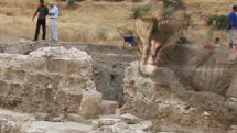 Fossils of dinosaurs, flying lizards, elephants and three toe horses discovered in Armenia