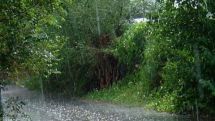 Rain and thunderstorm expected today