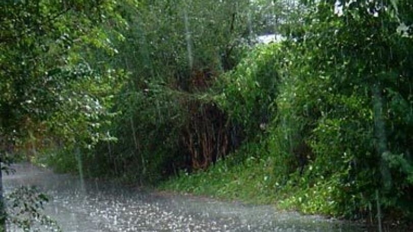 Rain and thunderstorm expected today