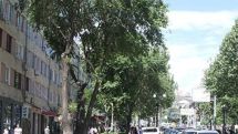 В ряде областей Армении синоптики вновь прогнозируют град