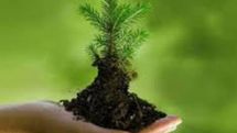 Today marks World Environment Day
