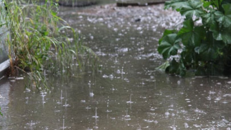 Heavy showers expected this evening