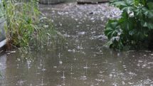 Transitory rain expected in Yerevan