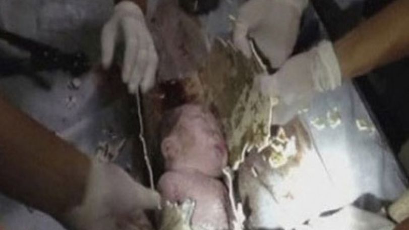 Baby rescued from sewage pipe in China