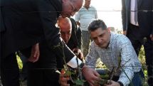 Правительство Армении утвердило программу мероприятий по устранению последствий сильного града в Армавирской области 