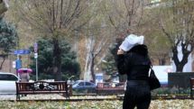 Air temperature will go up by 3-4 degrees
