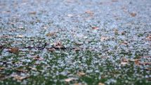 Rains and thunderstorm expected; air temperature to go down