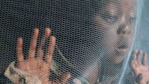 World Malaria Day is marked on April 25