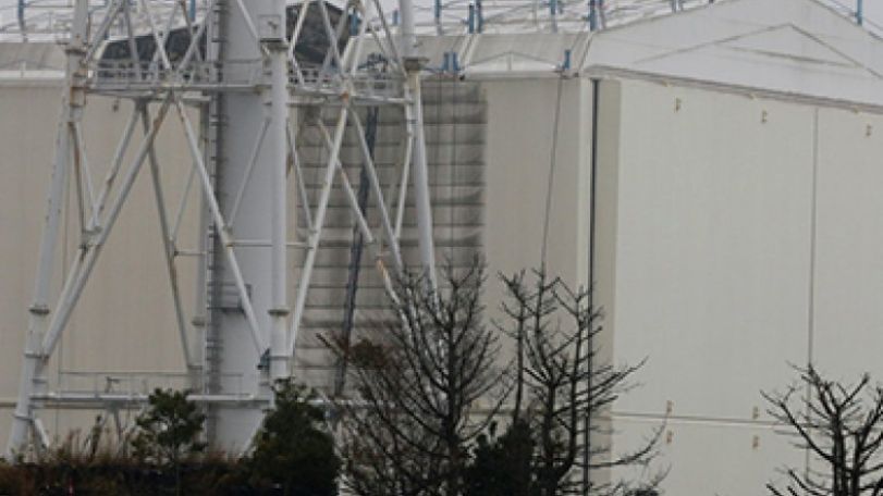 Decision to dismantle cover over damaged Fukushima reactor 'questionable’    