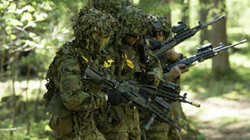 Anti-Russia hysteria prompts Baltic states to depend less on NATO