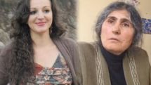 Ընտանիք. Դիտարկումներ՝ հոգեբանից,  խորհուրդներ` դերասանից (տեսանյութ)
