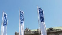 Turan: Azerbaijan wants to get out of custody of OSCE commitments in order to again fabricate elections 