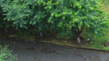 Rain, thunderstorm expected across country