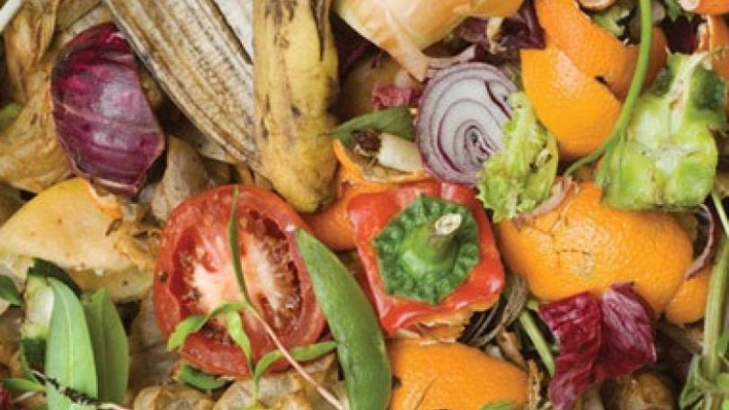 «Say No To Food Waste»: Только жители Азербайджана и Камеруна тратят на питание больше 45% своих доходов 