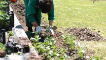Warm weather expected in Yerevan