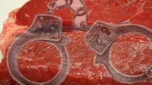 Новые развития по делу «мяса буйвола для армии»: задержан подполковник