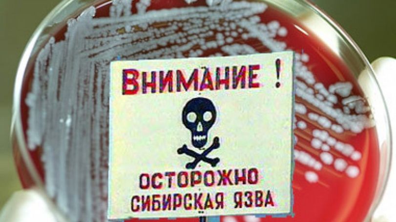 В Ереване у двух граждан обнаружена сибирская язва