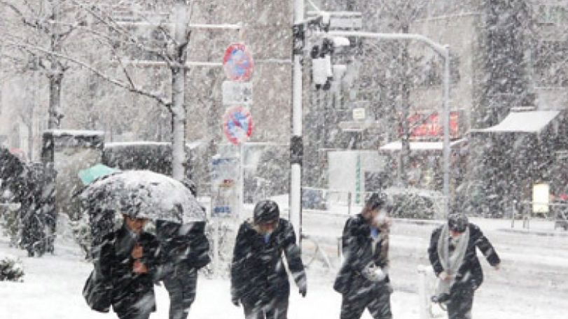 Snow kills 8 in Japan, including family in car