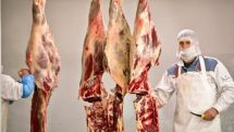 British authorities raid slaughterhouse over horse meat scandal