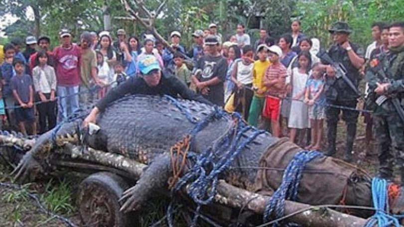 World's largest crocodile dies in Philippines