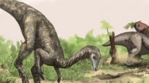 New contender for oldest dinosaur