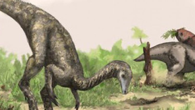 New contender for oldest dinosaur