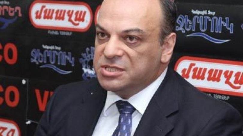 Opposition unlikely to announce common candidate, says Arman Melikyan