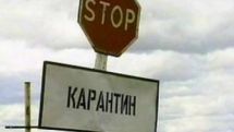 В Гегаркуникской области Армении карантин по сибирской язве продолжается