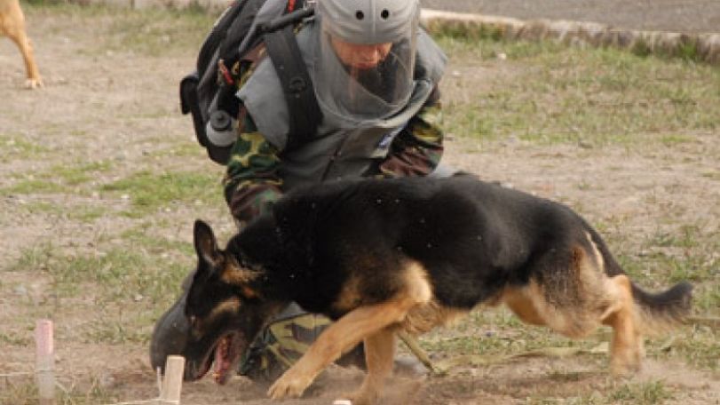 Armenians participate in U.S. Demining Training Program 