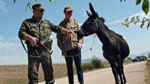 Военные эксперты Азербайджана подтверждают высокий процент смертности в армии и ее низкую боеготовность