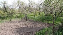 Expert: Armenia faces desertification risk