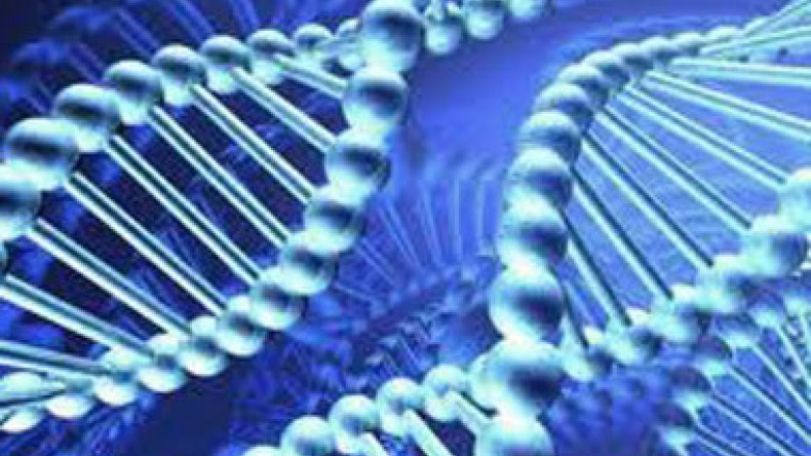 DNA Study Busts Myth that One Million Appalachians are of Turkish Descent  